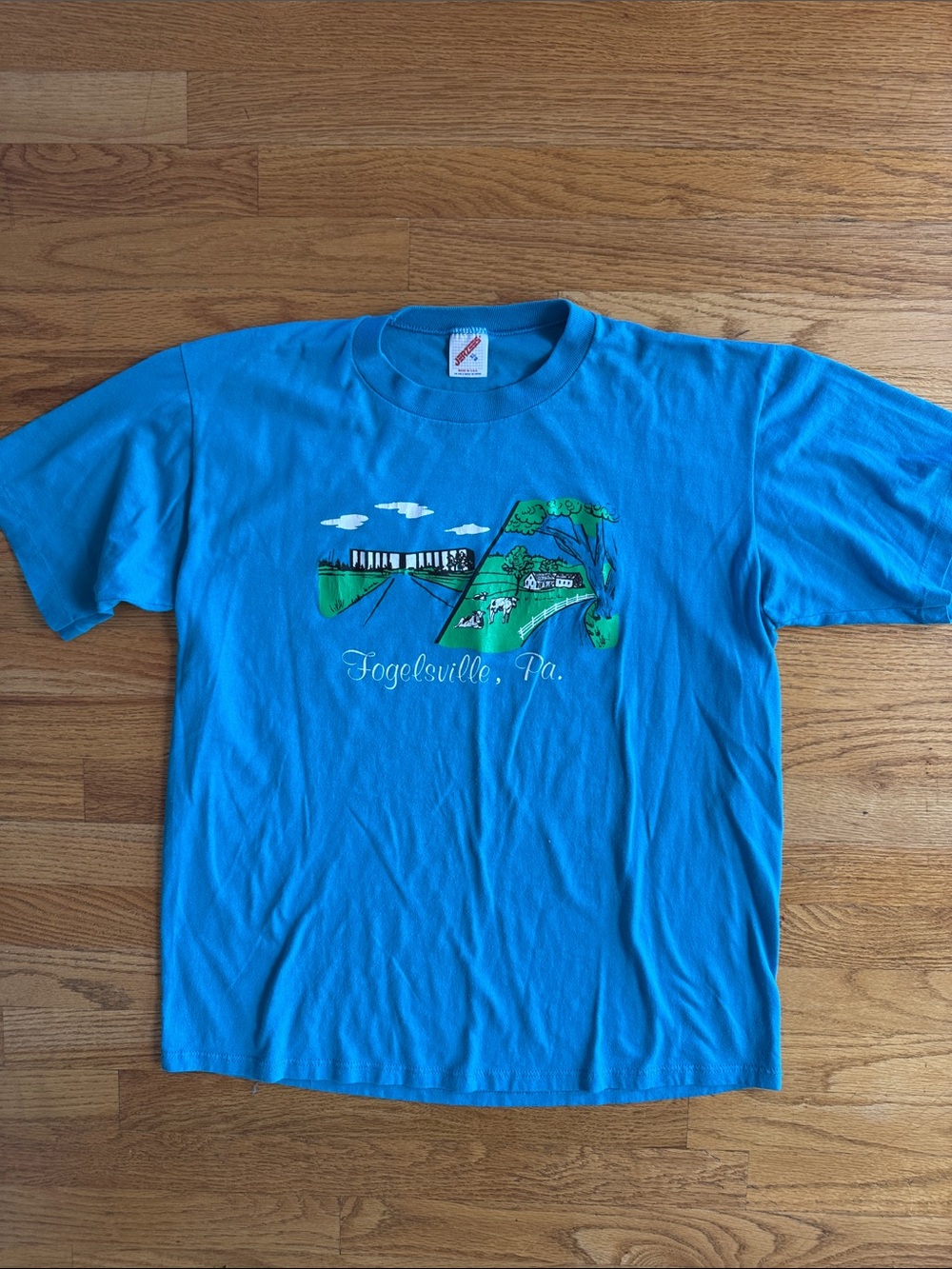 Jerzees Bright Blue Fogelsville, PA Graphic Tee Vintage XL
